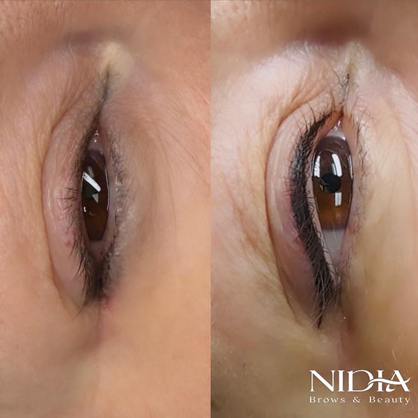 fad5270b-a903-4967-95b3-6a0032cb9e12 2 - Copia (3)